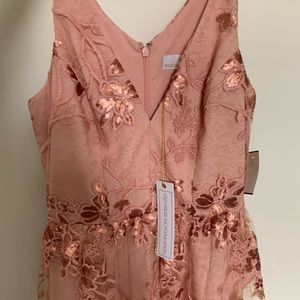 dress the population ally lace dress